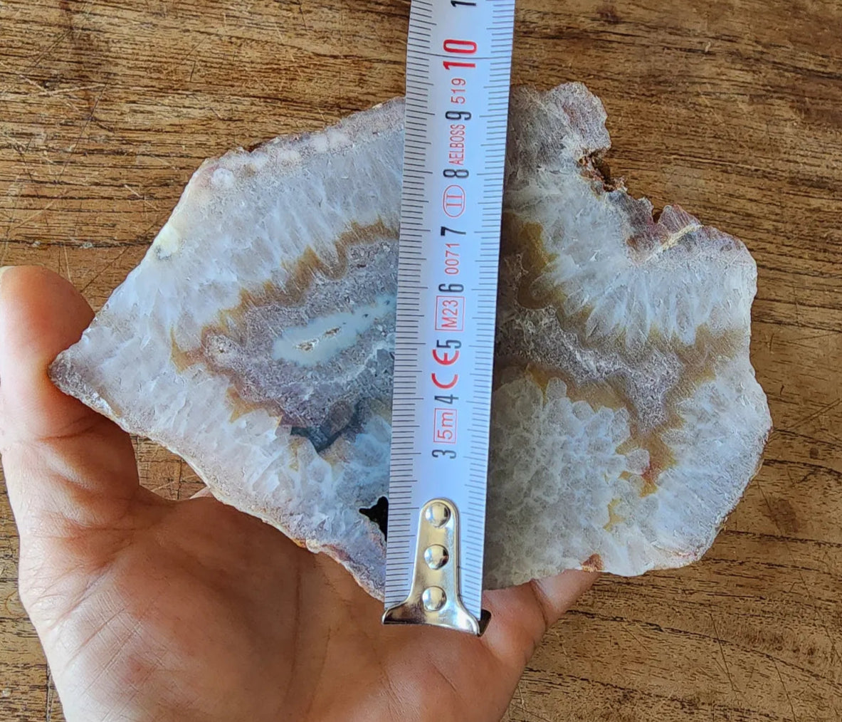 Crystal Agate- Crystal Fish
