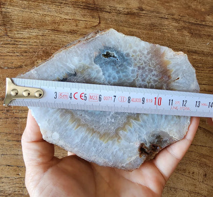 Crystal Agate- Crystal Fish