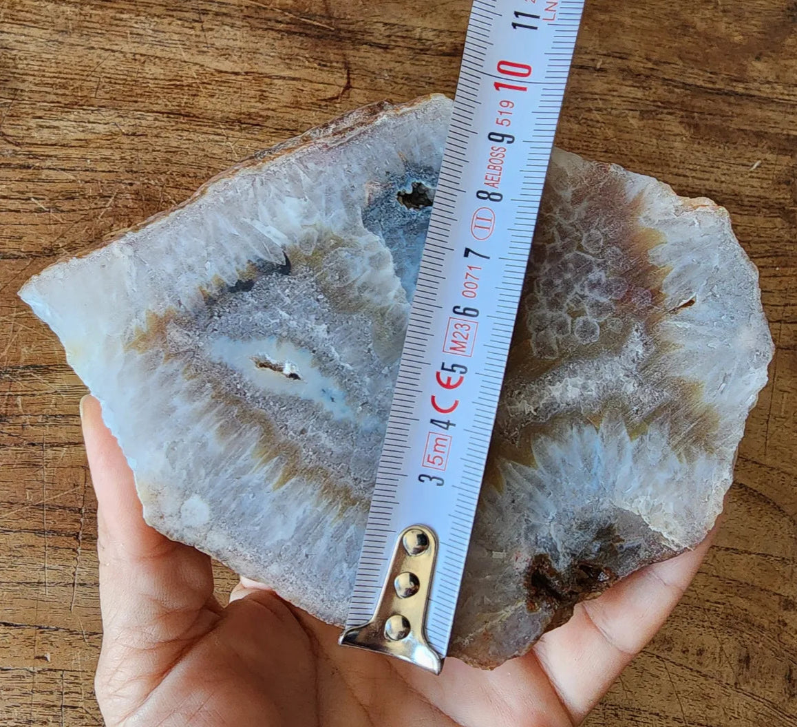 Crystal Agate- Crystal Fish