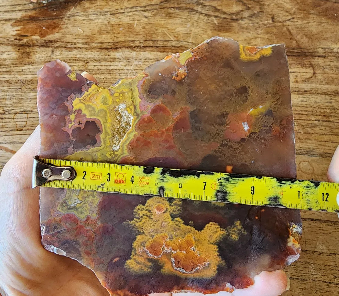 Unusual  Beautiful Agate