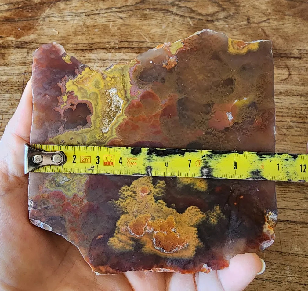 Unusual  Beautiful Agate