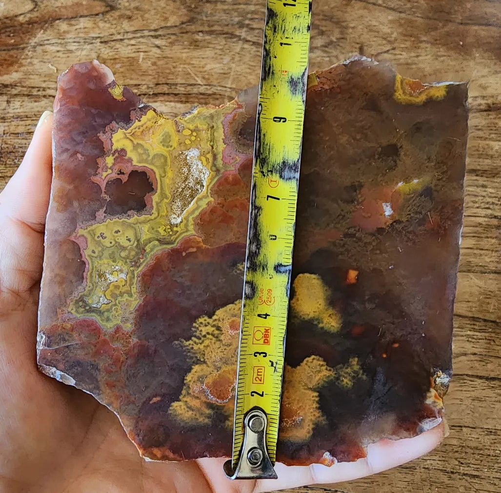 Unusual  Beautiful Agate