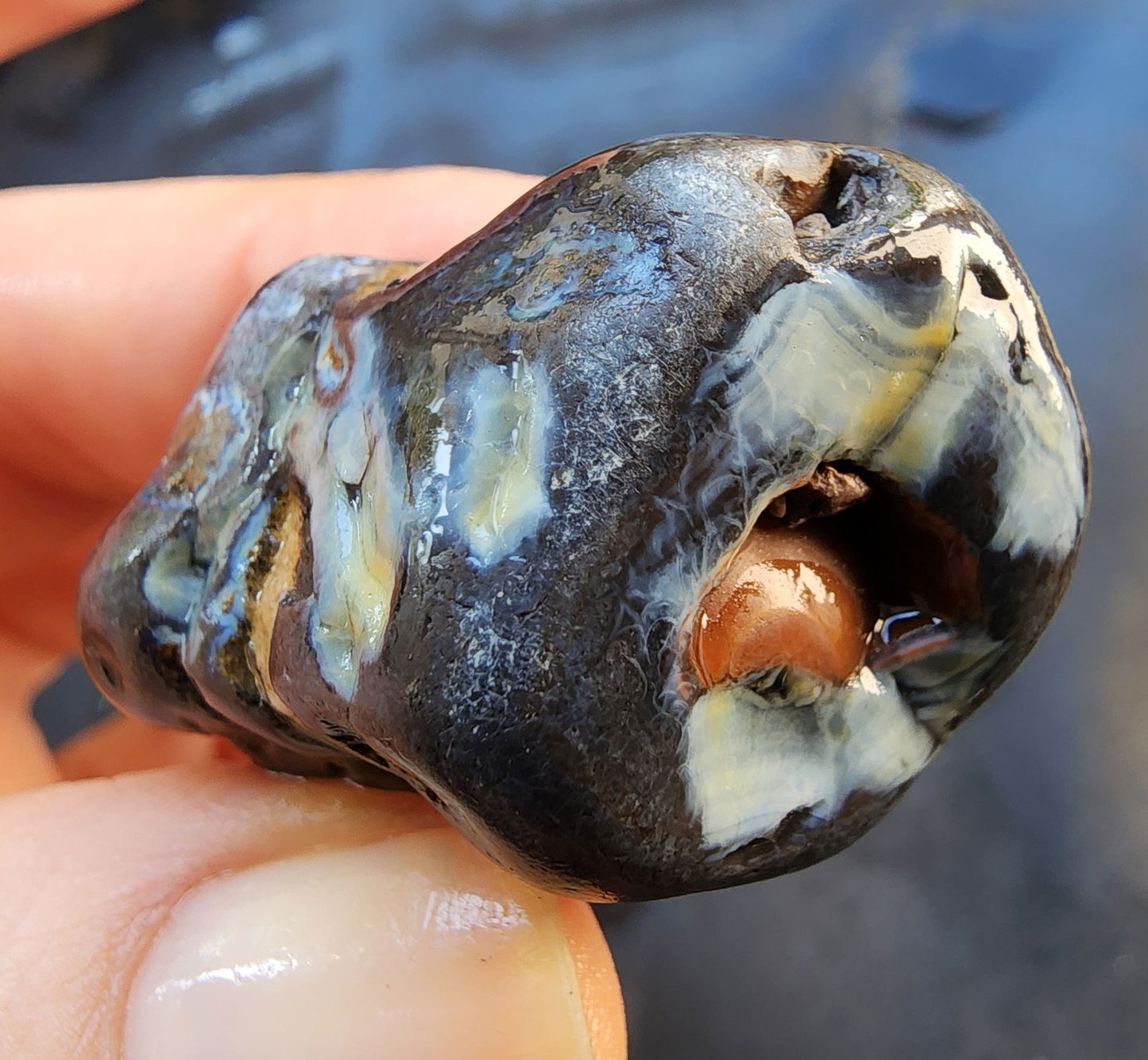 Agate Nodules Rough - We❤️Rocks