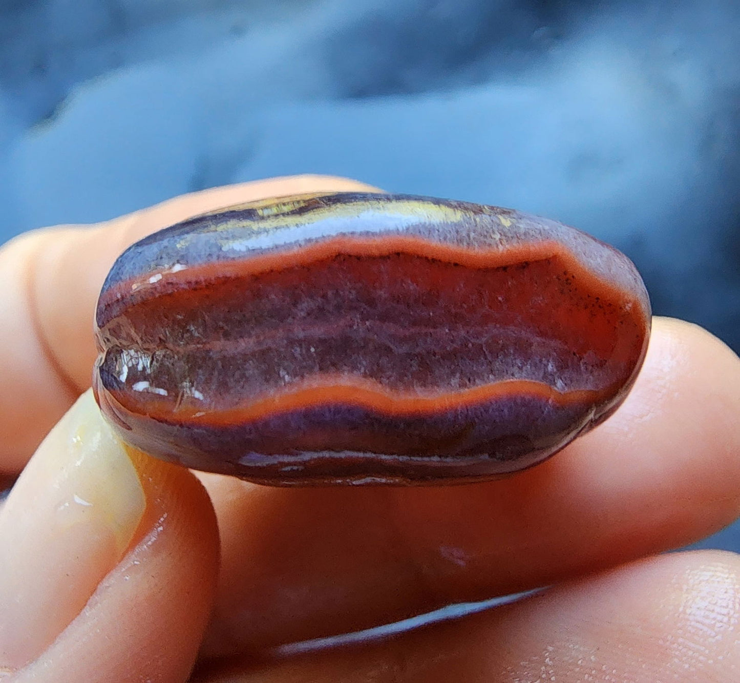 Agate Nodules Rough - We❤️Rocks