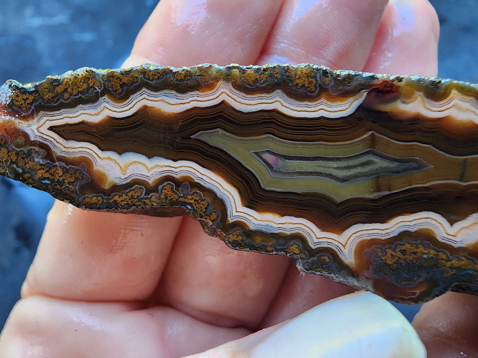 Banded & Plume Agate - We❤️Rocks