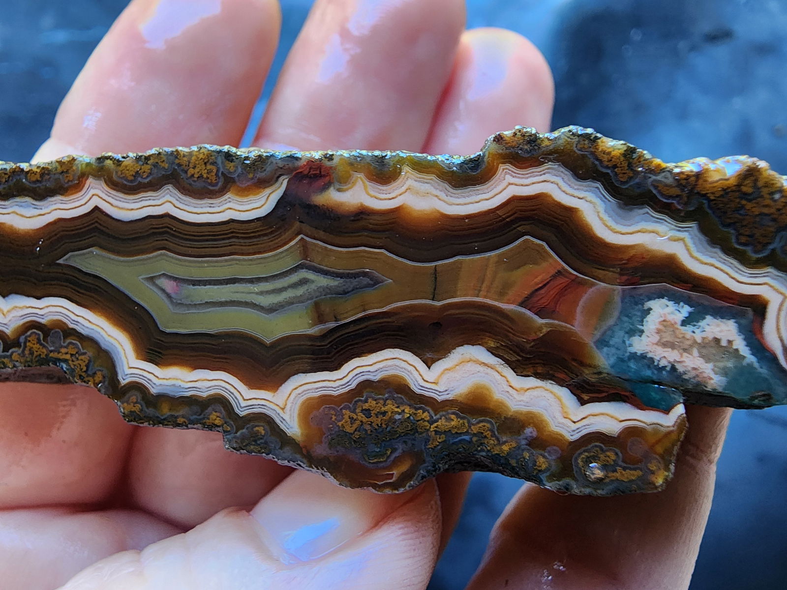 Banded & Plume Agate - We❤️Rocks