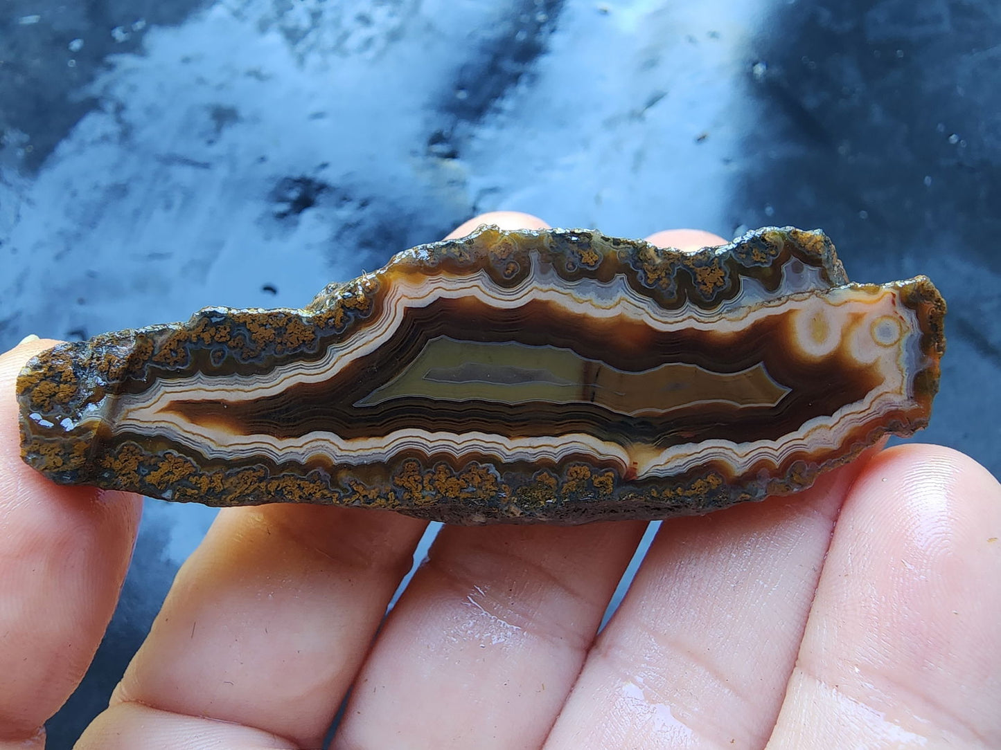 Banded & Plume Agate - We❤️Rocks