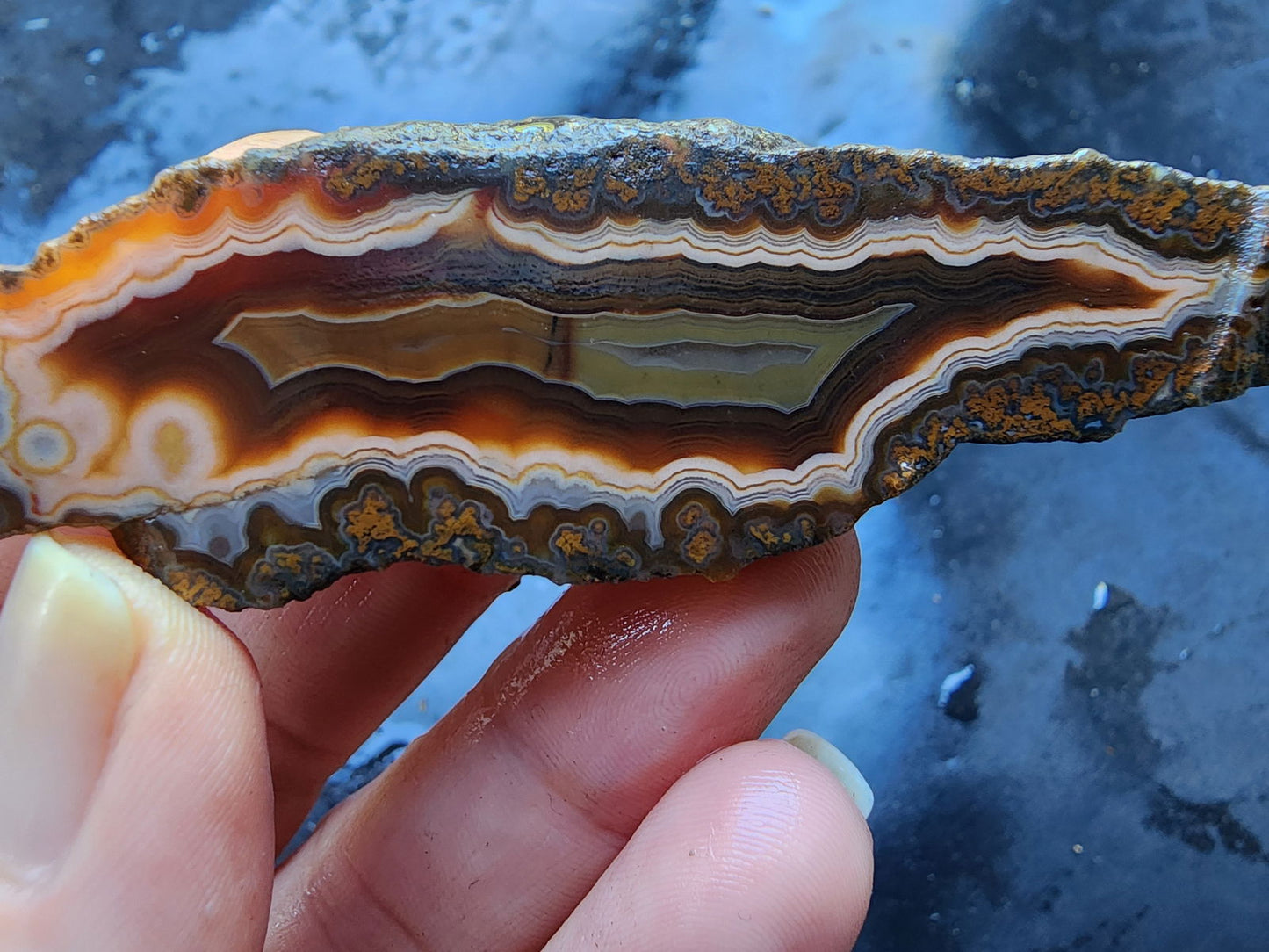 Banded & Plume Agate - We❤️Rocks