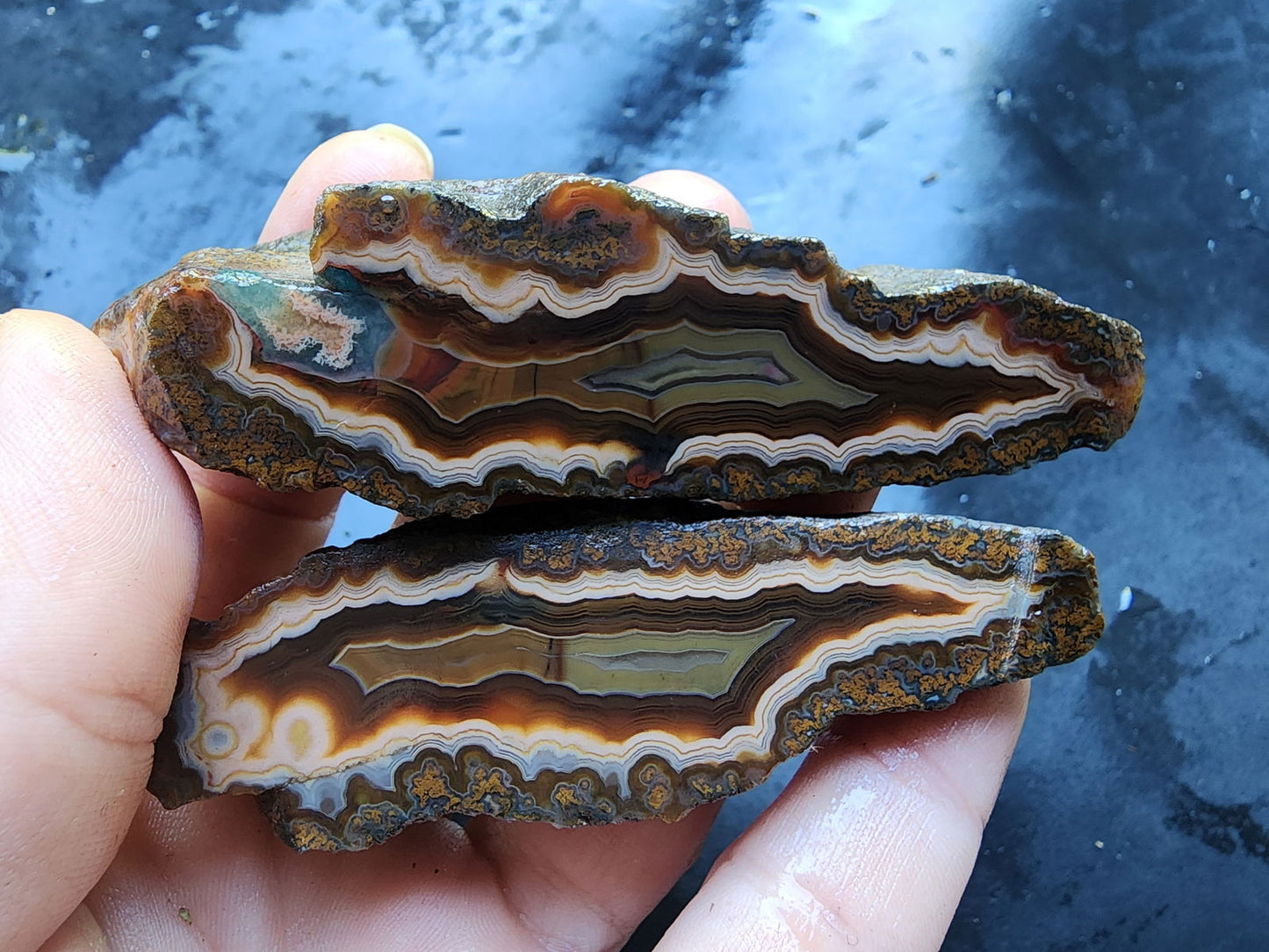 Banded & Plume Agate - We❤️Rocks