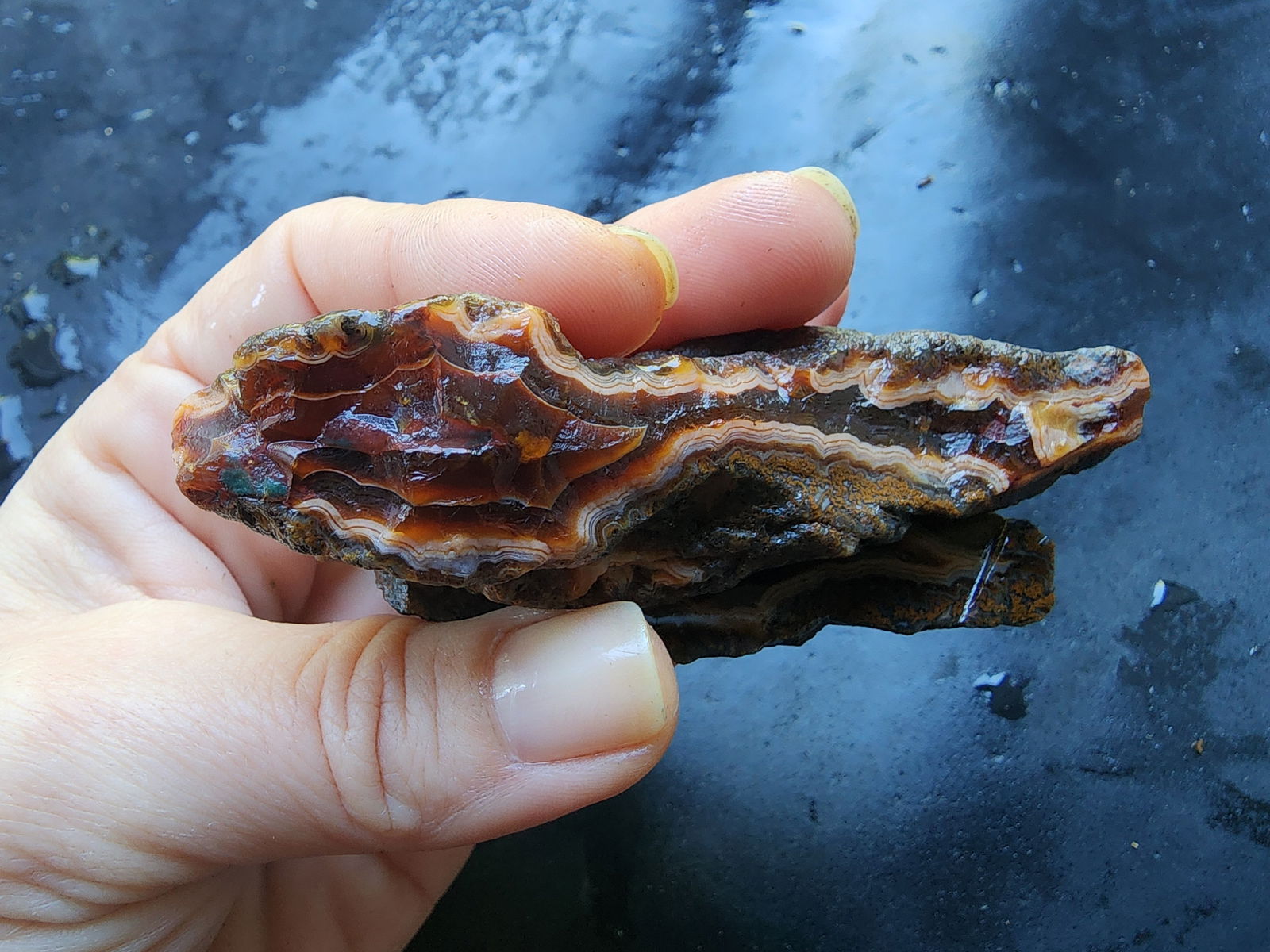 Banded & Plume Agate - We❤️Rocks