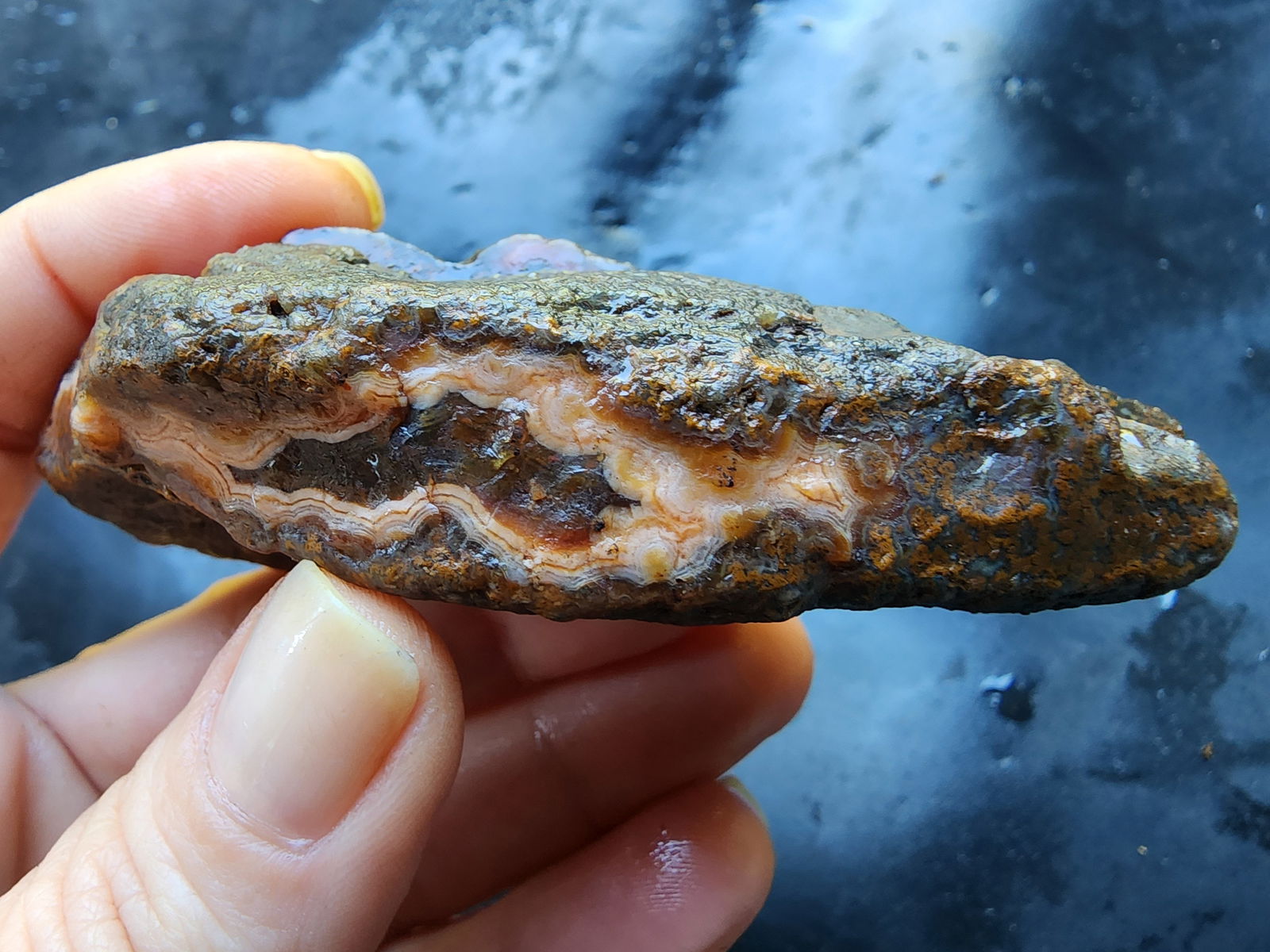 Banded & Plume Agate - We❤️Rocks