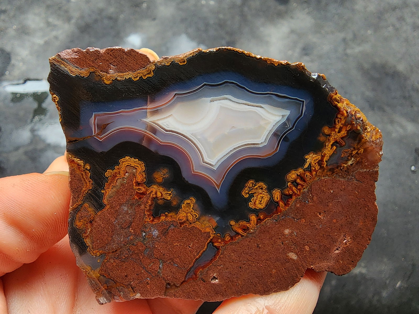 Banded & Plume Agate - We❤️Rocks