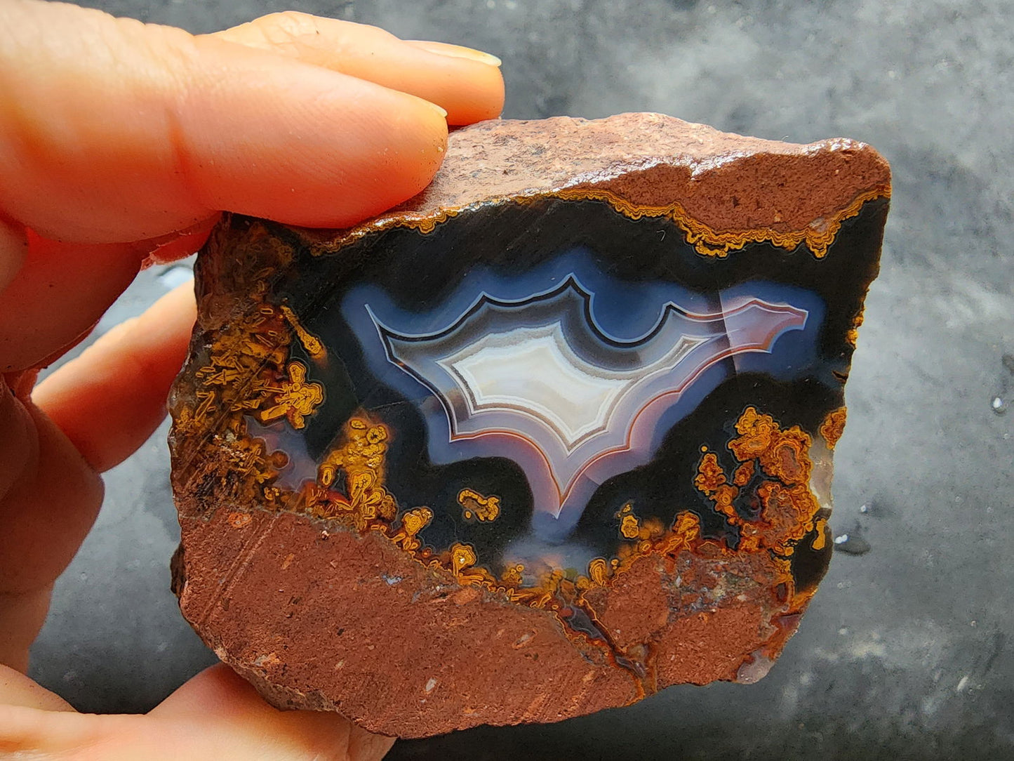 Banded & Plume Agate - We❤️Rocks