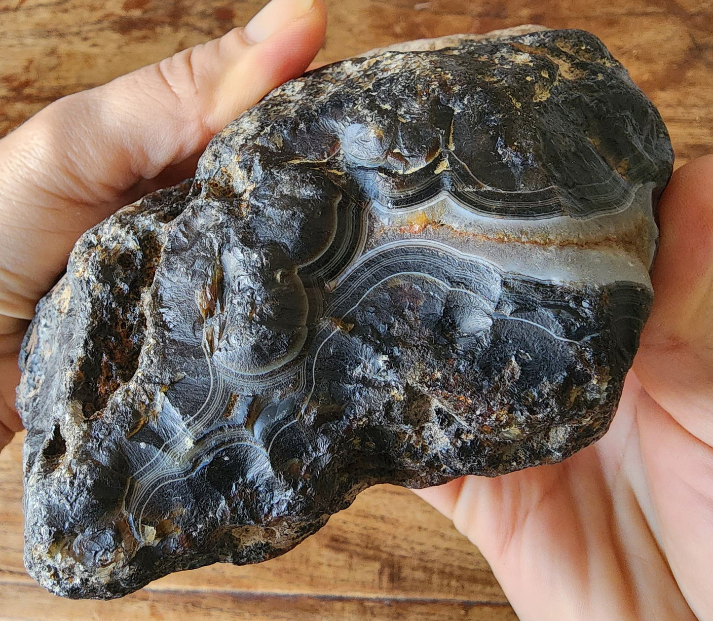 Big Dendritic Agate - We❤️Rocks