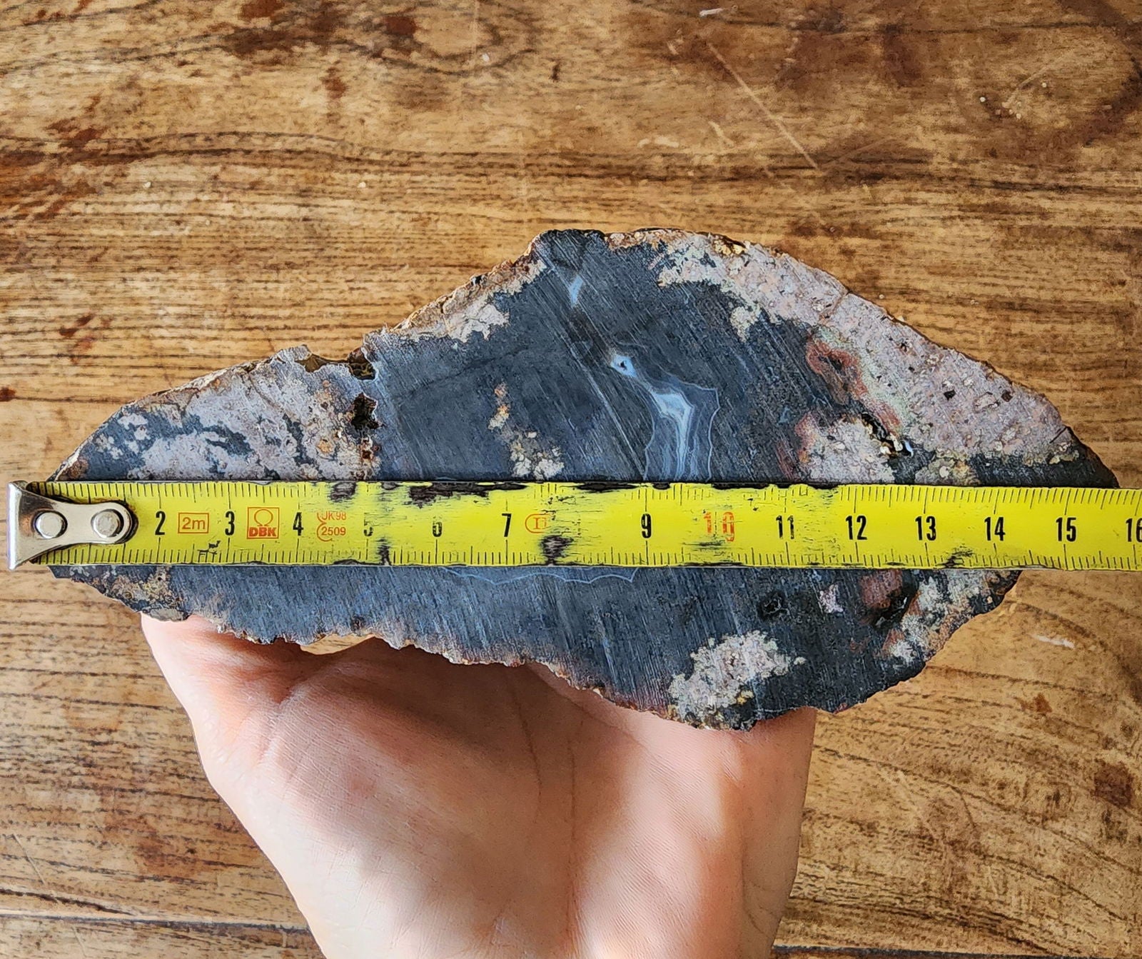 Big Dendritic Agate - We❤️Rocks