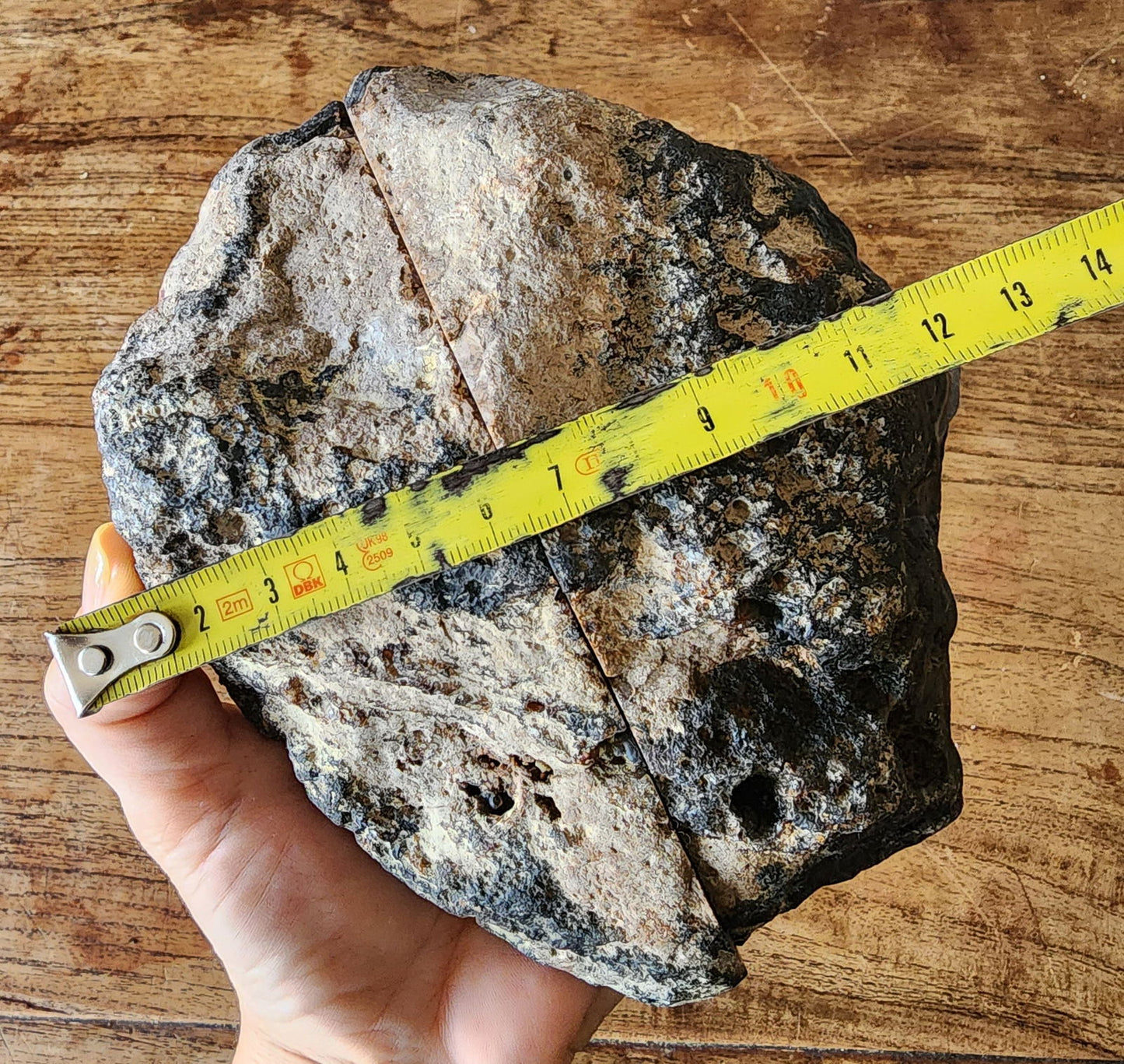 Big Dendritic Agate - We❤️Rocks