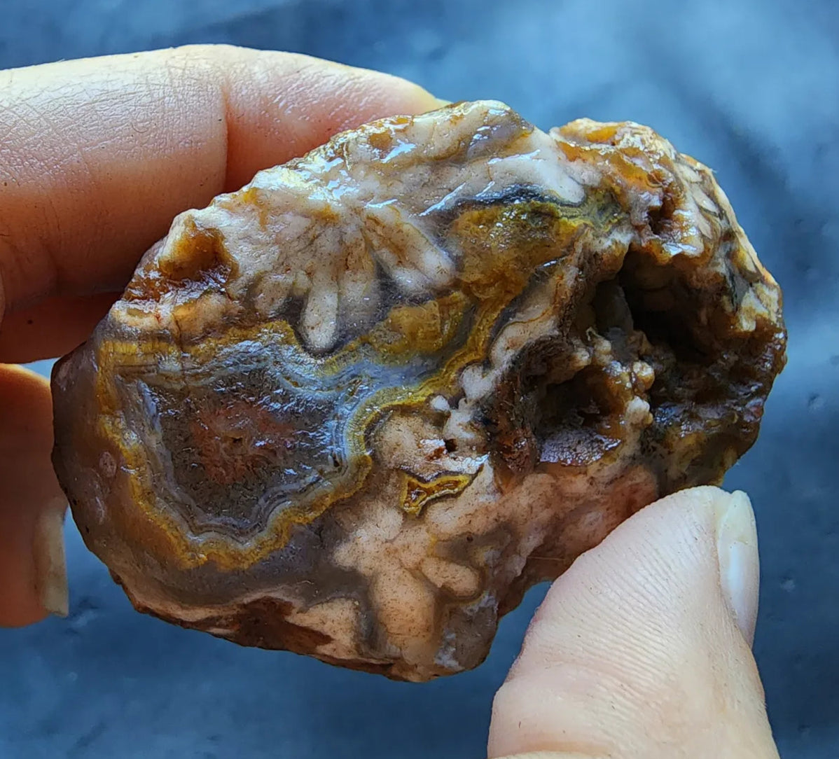 Beautiful Agate