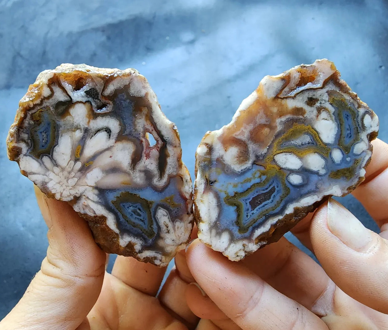 Beautiful Agate