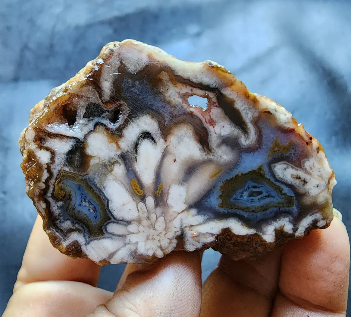 Beautiful Agate