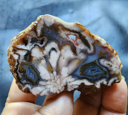 Beautiful Agate