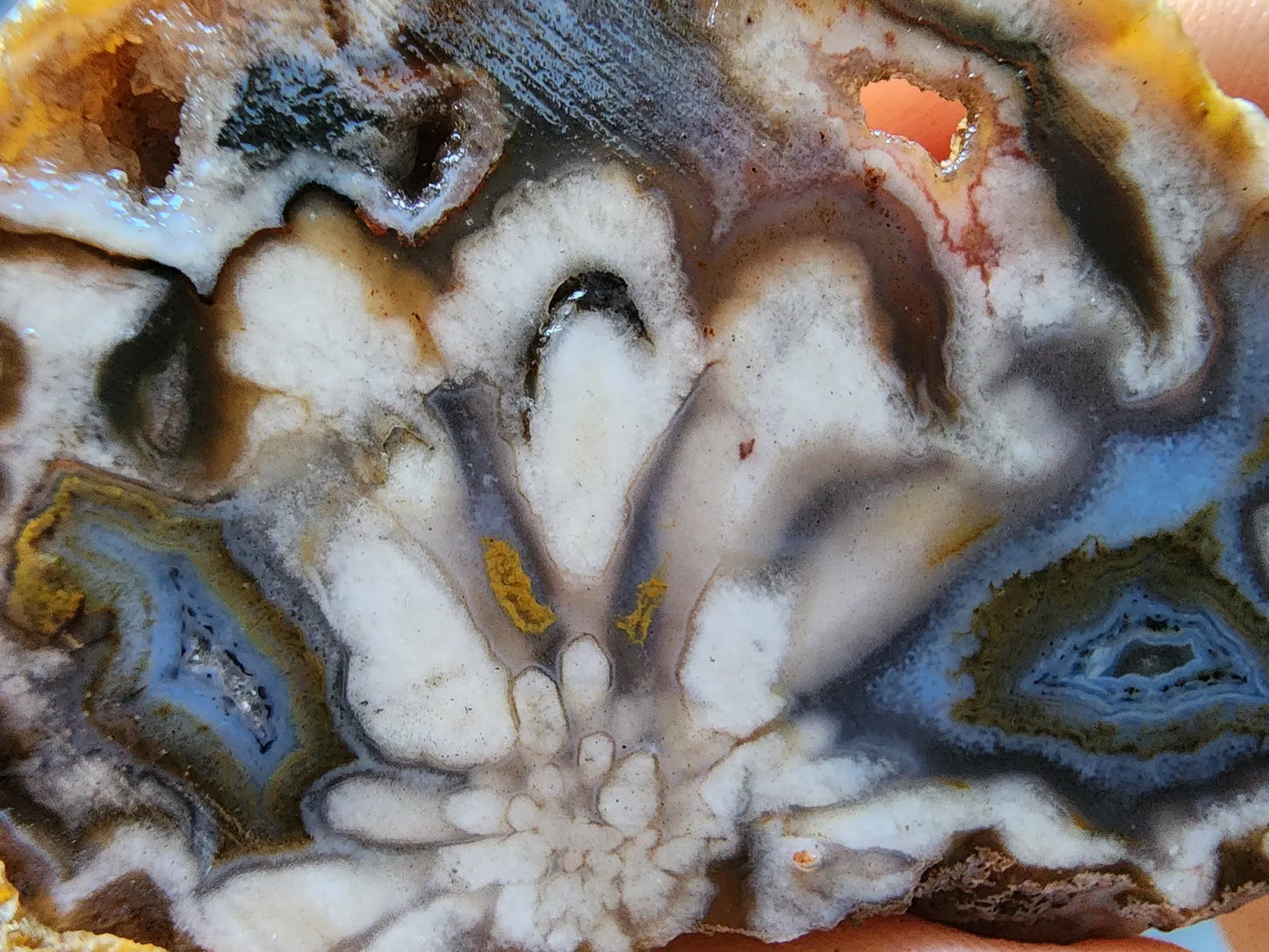 Beautiful Agate
