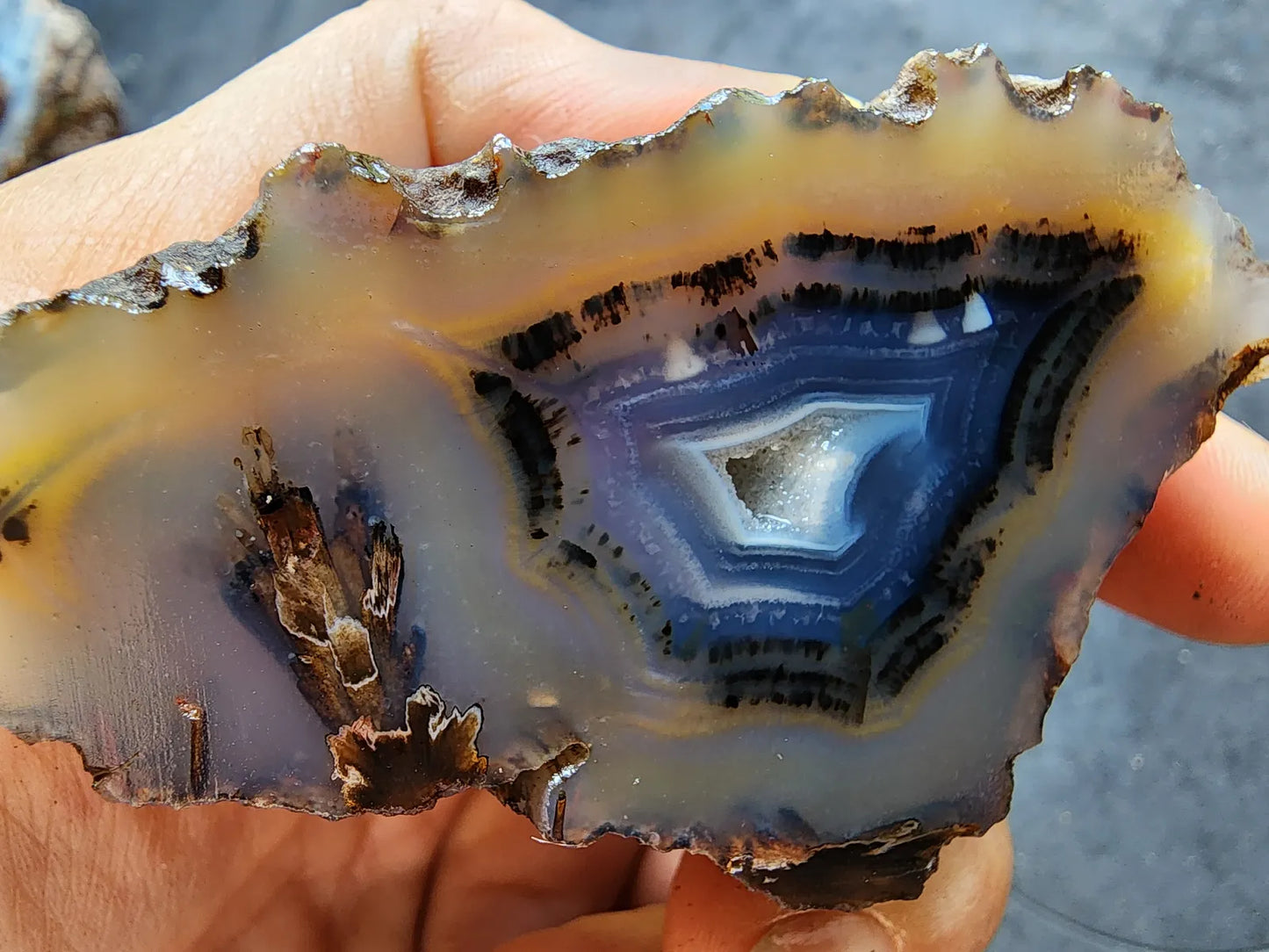 Blue Agate Geode