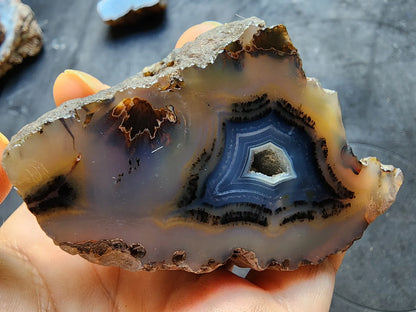 Blue Agate Geode
