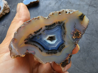 Blue Agate Geode