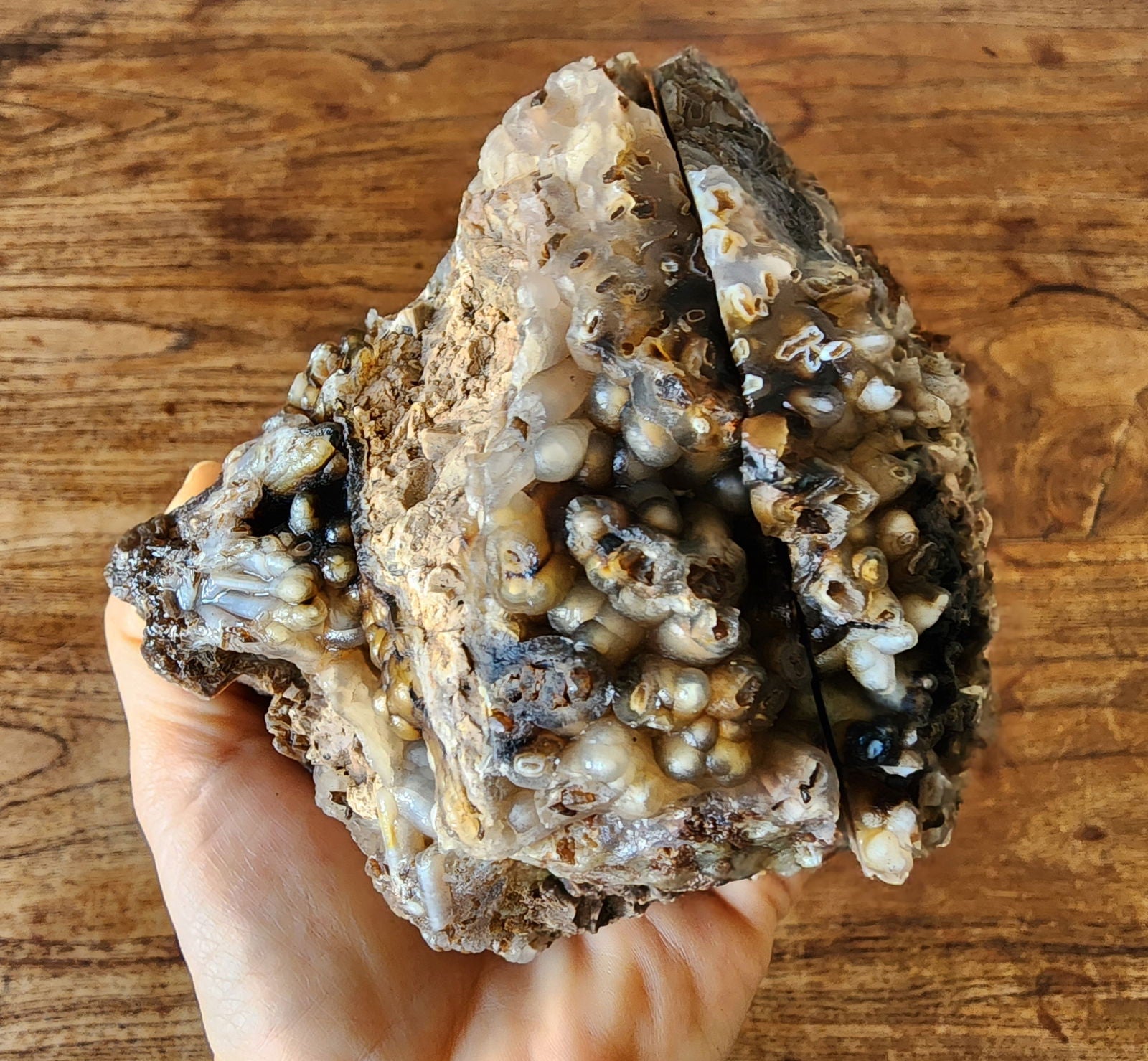 Botryoidal Stick Agate - #tag1# - #tag2#