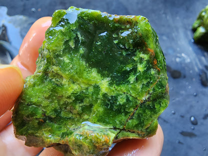 Chrysoprase Rough