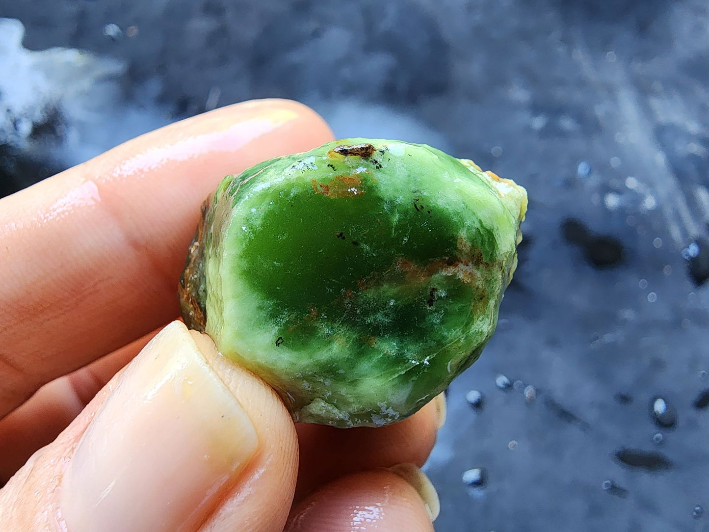 Chrysoprase Rough - We❤️Rocks