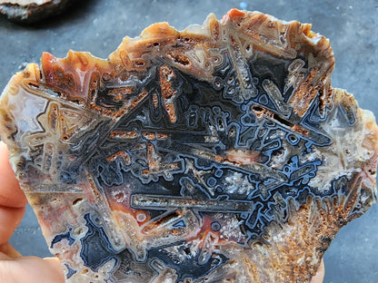 Blue Tube Agate