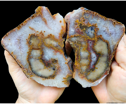 Collectible Agate - #tag1# - #tag2# - #tag3# - #tag4#