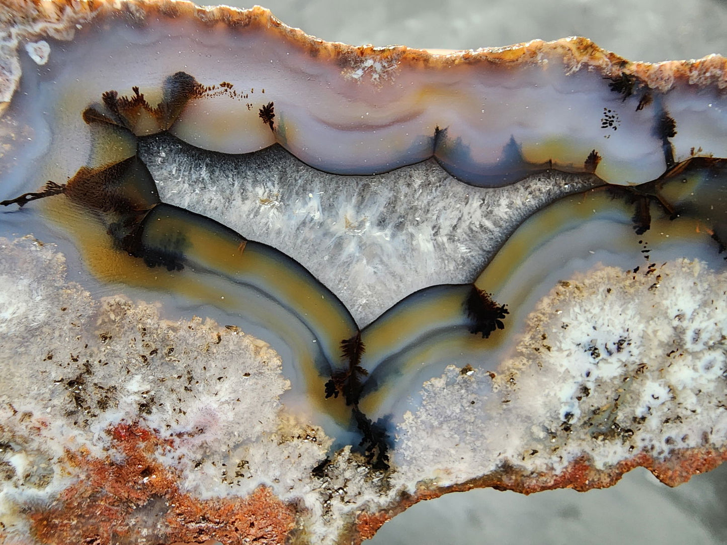 Collectible Agate - We❤️Rocks