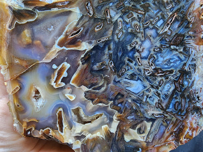 Collectible Agate Slab - #tag1# - #tag2# - #tag3# - #tag4#