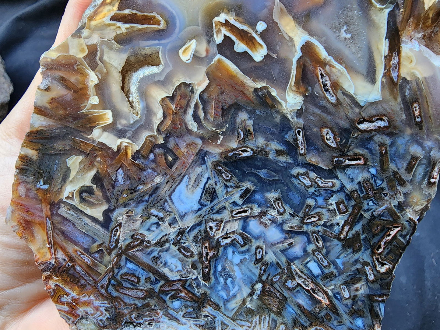 Collectible Agate Slab - #tag1# - #tag2# - #tag3# - #tag4#