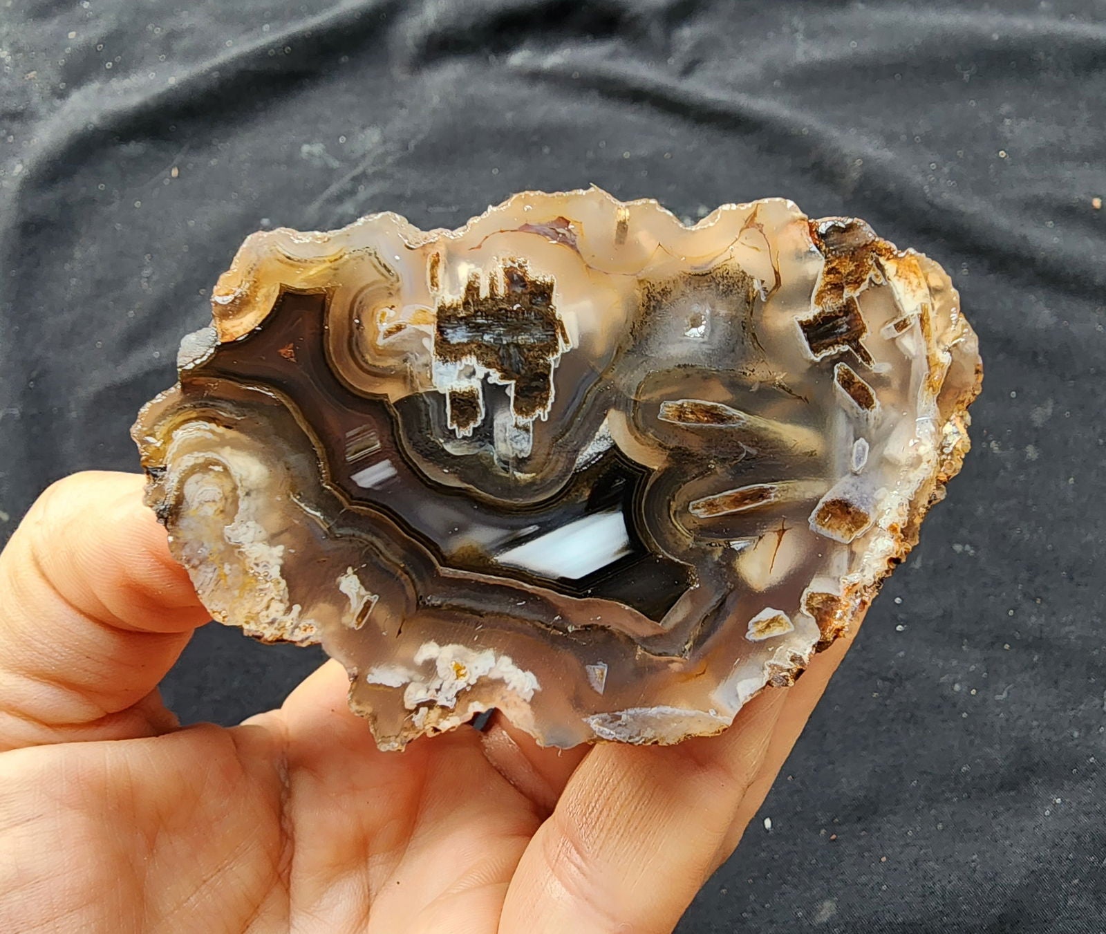 Collectible Agate Slices - #tag1# - #tag2#