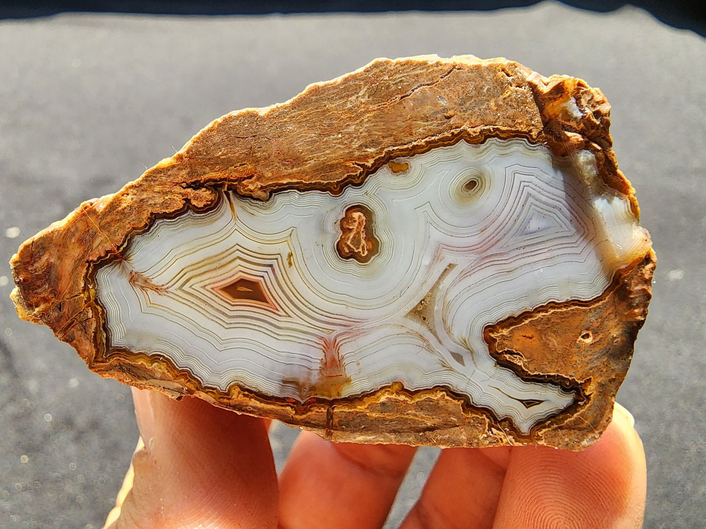 Collectible Banded Agate - #tag1# - #tag2# - #tag3# - #tag4#