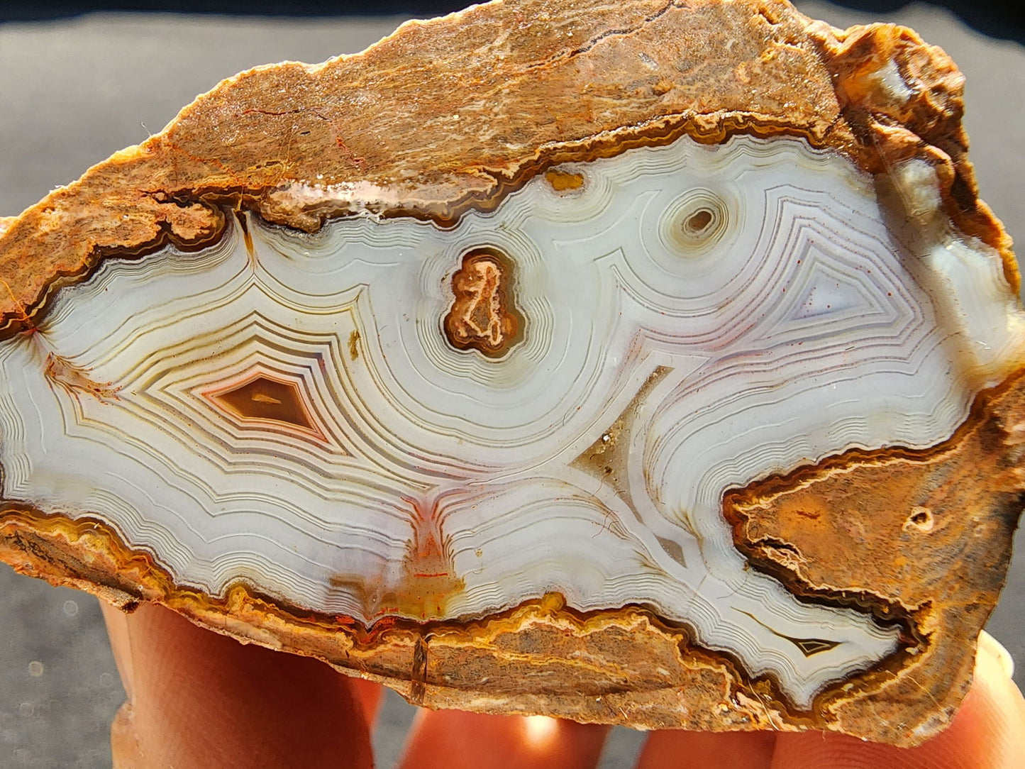 Collectible Banded Agate - #tag1# - #tag2# - #tag3# - #tag4#