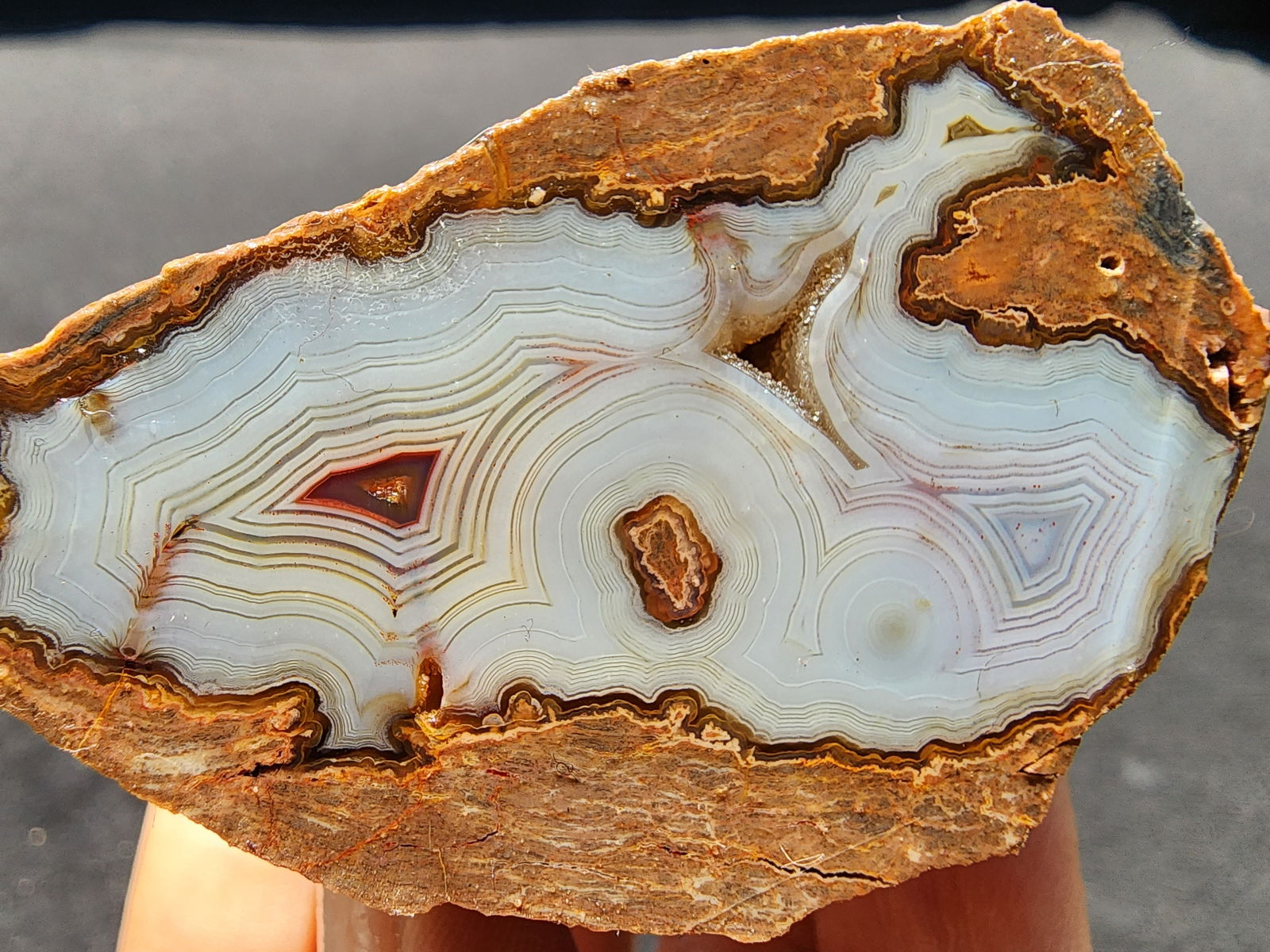 Collectible Banded Agate - We❤️Rocks