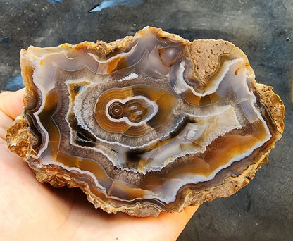 Collectible Banded Agate - We❤️Rocks