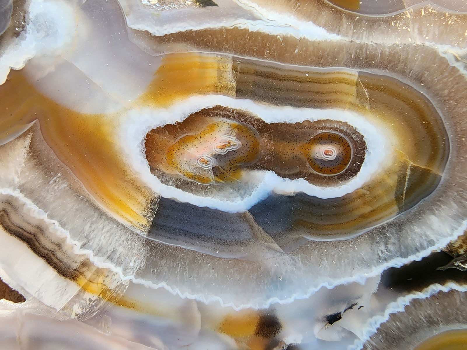 Collectible Banded Agate - We❤️Rocks