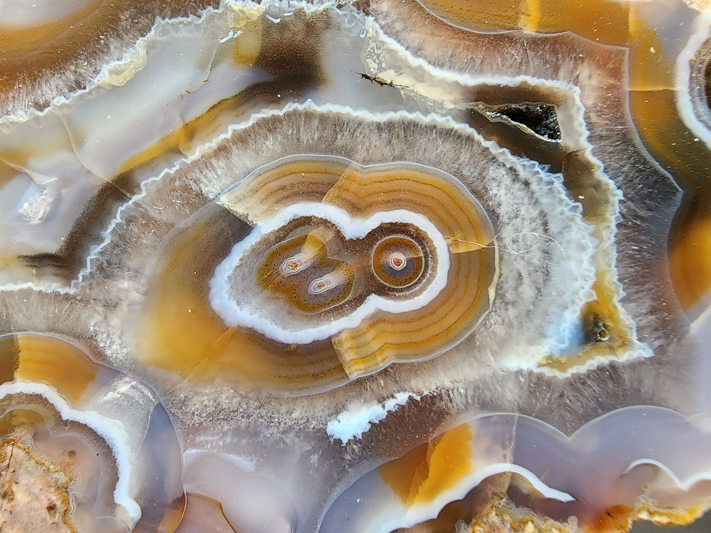 Collectible Banded Agate - We❤️Rocks