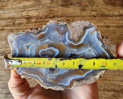 Collectible Banded Agate - We❤️Rocks