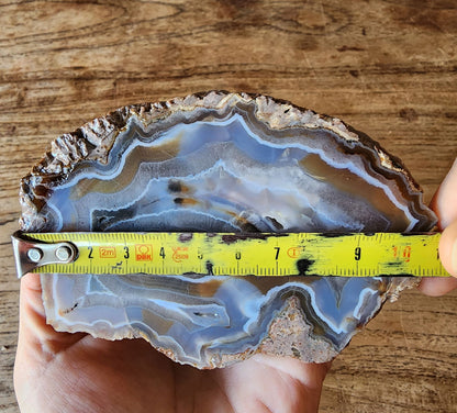 Collectible Banded Agate - We❤️Rocks