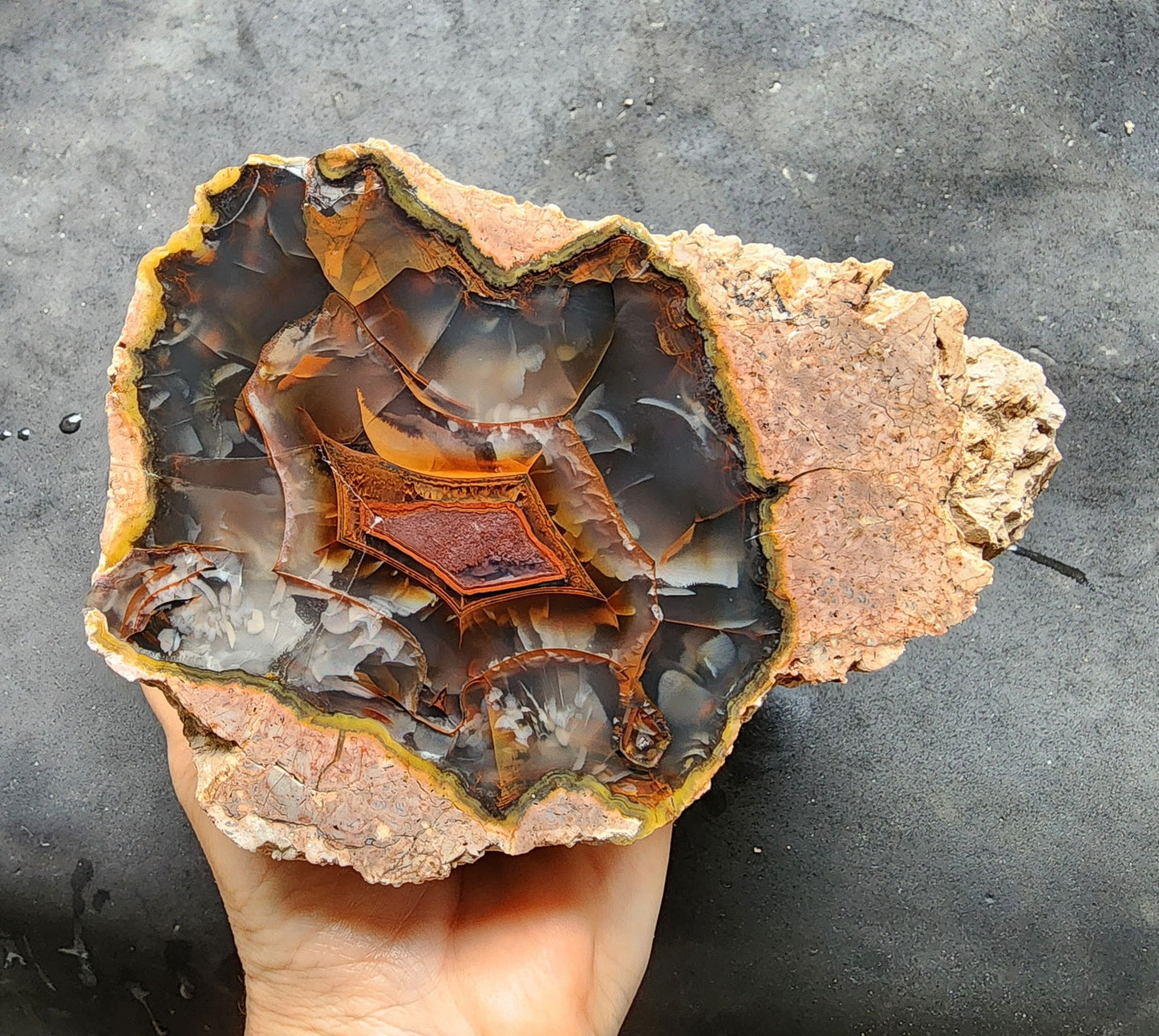 Collectible Thunderegg - We❤️Rocks