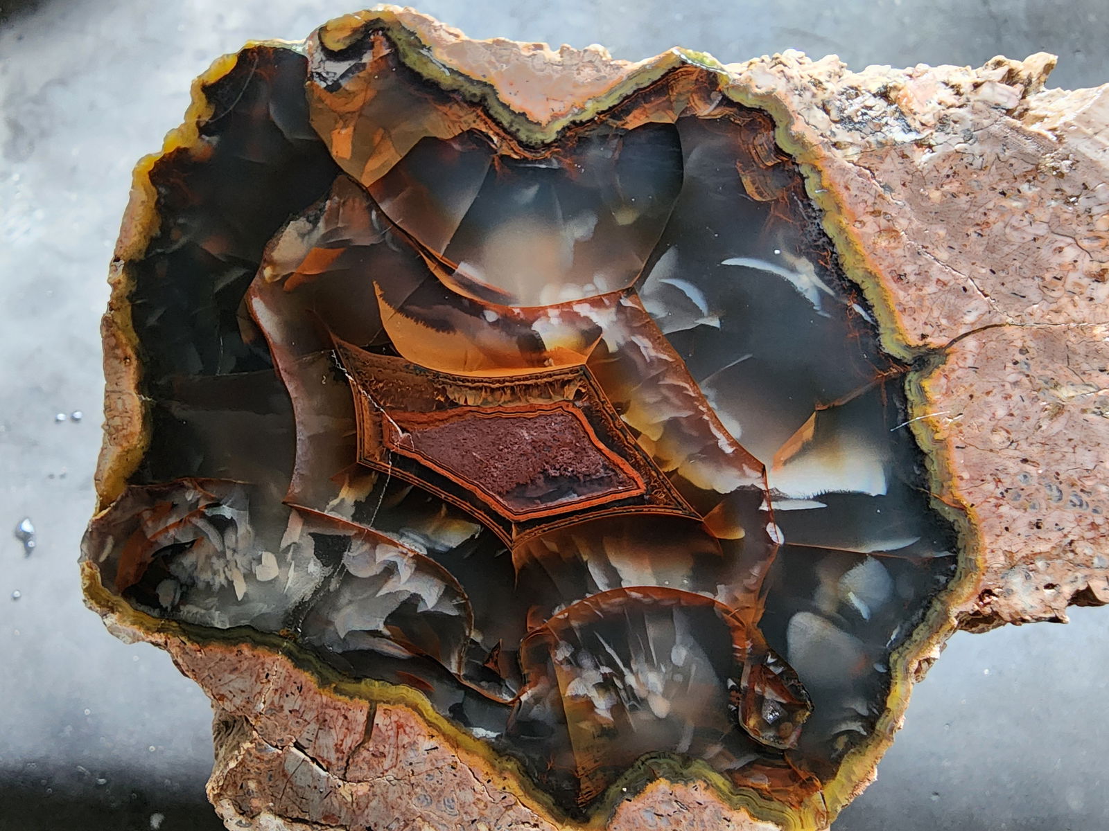 Collectible Thunderegg - We❤️Rocks