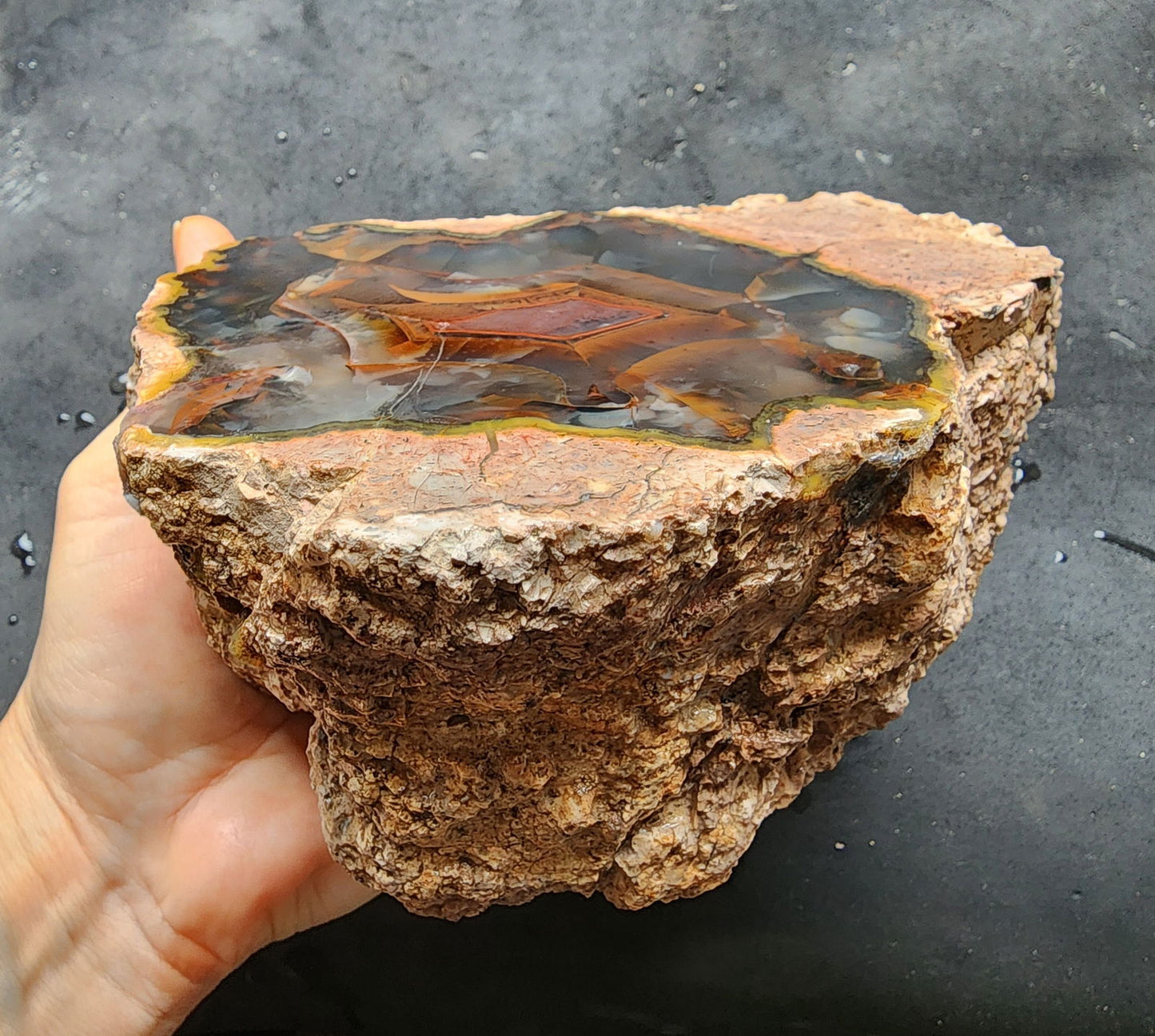 Collectible Thunderegg - We❤️Rocks