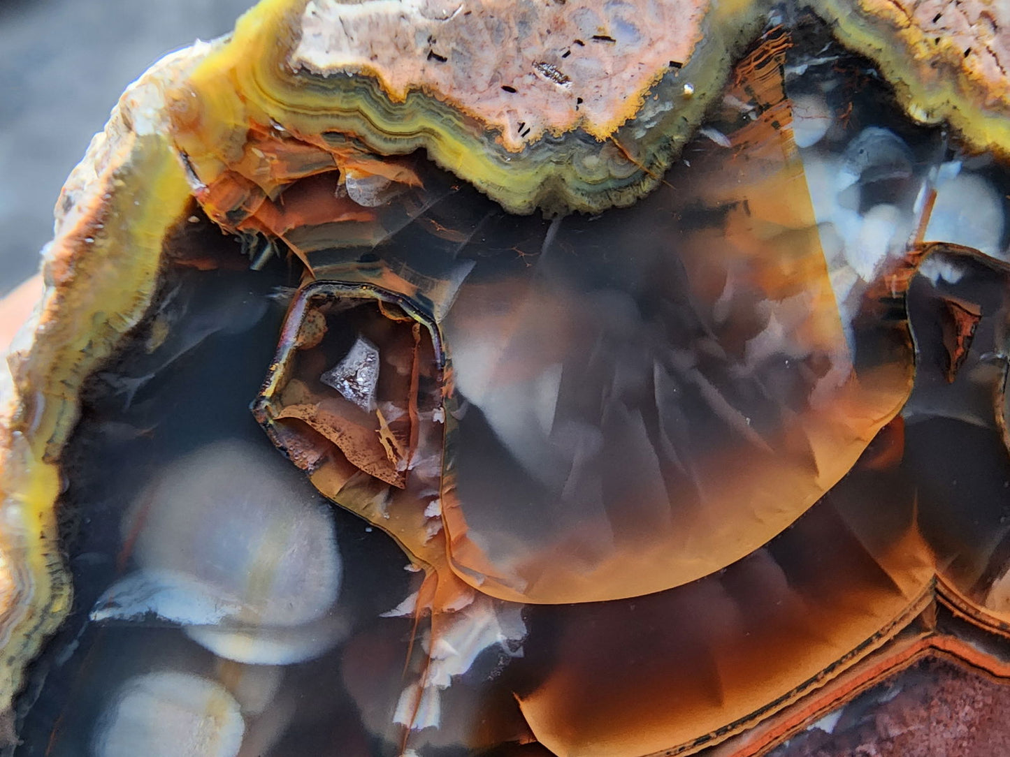 Collectible Thunderegg - We❤️Rocks