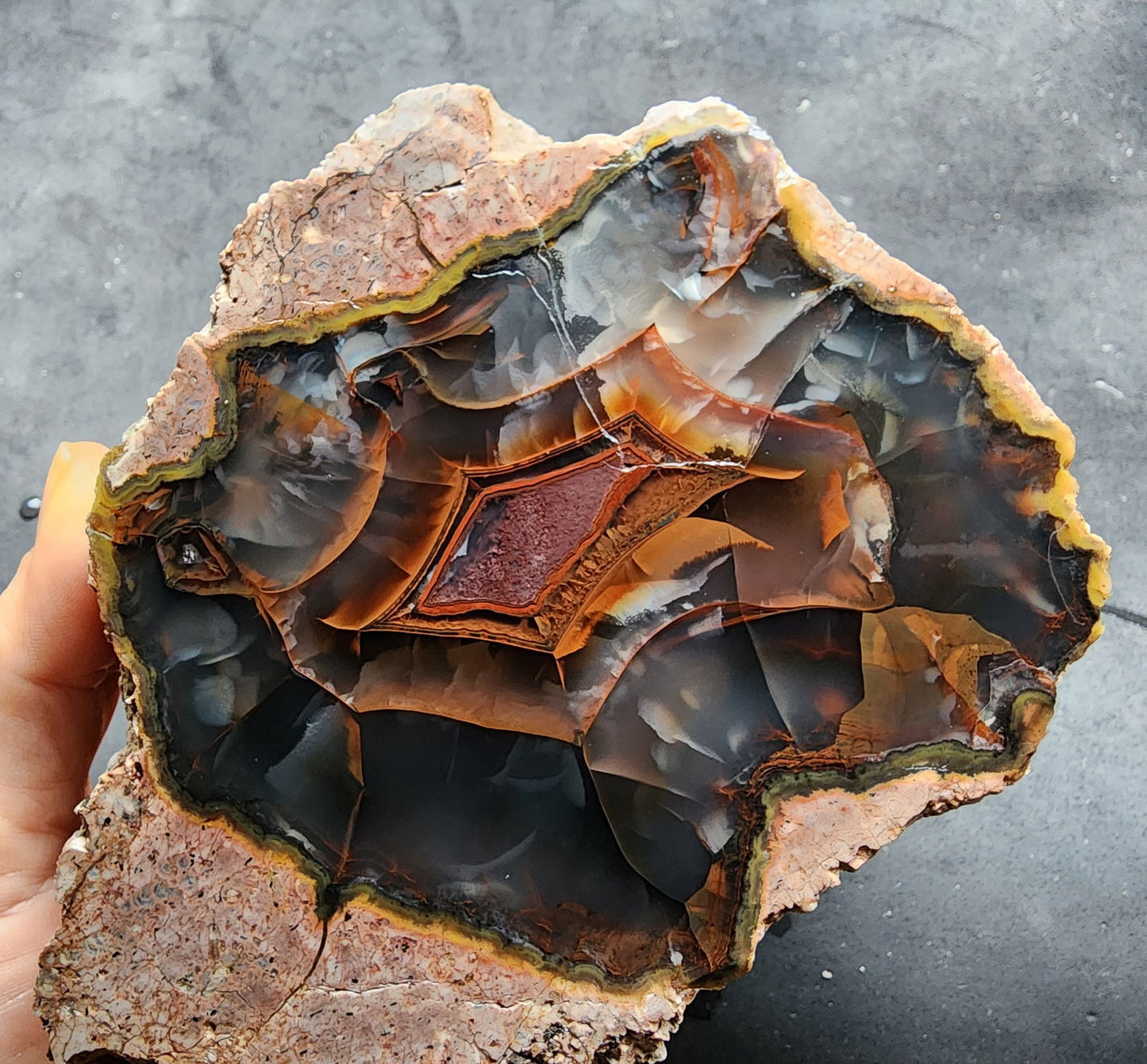 Collectible Thunderegg - We❤️Rocks